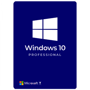 Windows 10 Professional (OEM)