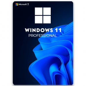 Windows 11 Professional (OEM)
